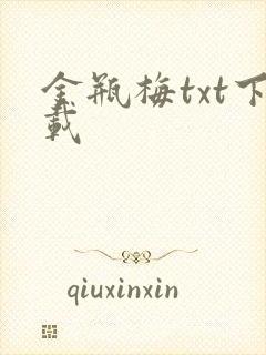 金瓶梅txt下载封面