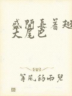 盛开长着翅膀的大尾巴