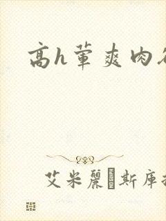 高h荤爽肉欲文