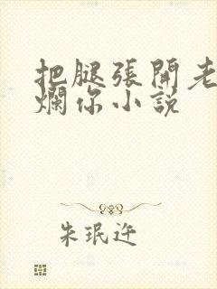 把腿张开老子臊烂你小说封面