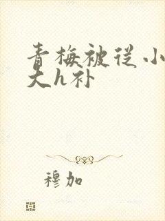 青梅被从小摸到大h补封面