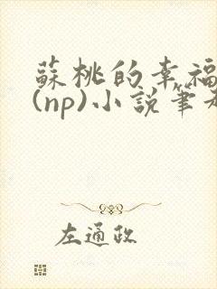 苏桃的幸福生活(np)小说笔趣阁沐沐