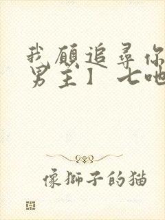 我愿追寻你【双男主】 七吔