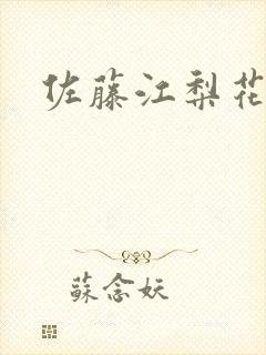 佐藤江梨花封面