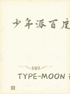 少年派百度百科