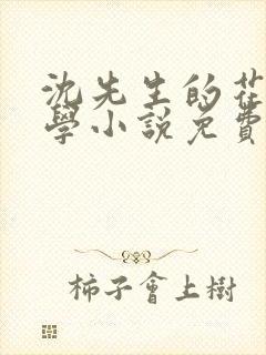 沈先生的花式教学小说免费