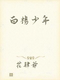 白杨少年