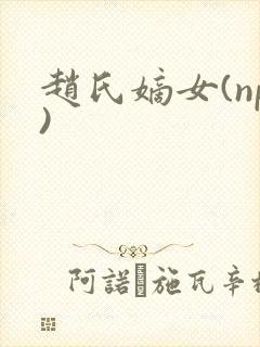 赵氏嫡女(np)