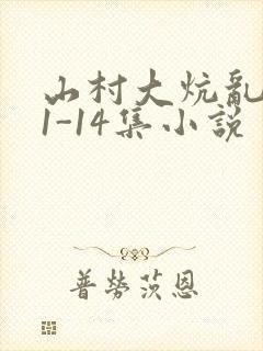 山村大炕乱肉续1-14集小说