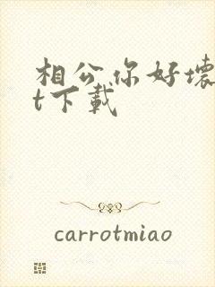 相公你好坏txt下载封面