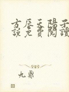 方辰天阳子的小说免费阅读