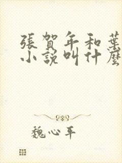 张贺年和叶繁姿小说叫什么名字