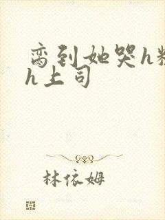 脔到她哭h粗话h上司封面