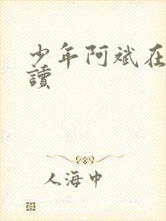 少年阿斌在线阅读封面