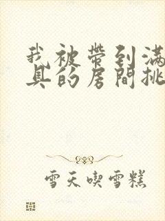 我被带到满是玩具的房间挑调游戏