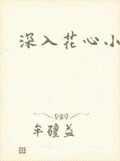 深入花心小说封面