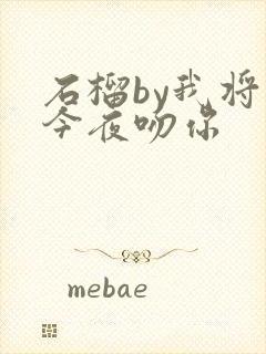 石榴by我将在今夜吻你