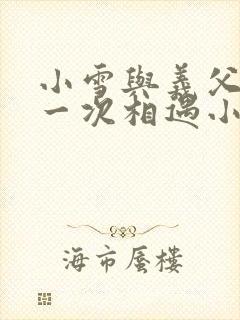 小雪与义父的第一次相遇小说封面