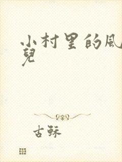 小村里的风流事儿封面