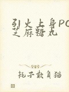 引火上身POP芝麻糖丸