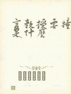 言教授要撞坏了是什么