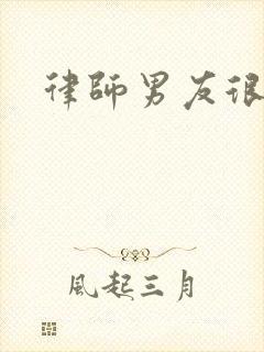 律师男友很难撩