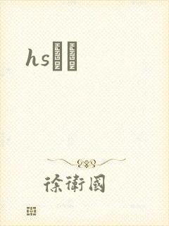 hsС˵封面
