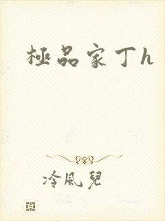 极品家丁h