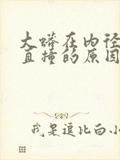 大蟒在内径横冲直撞的原因