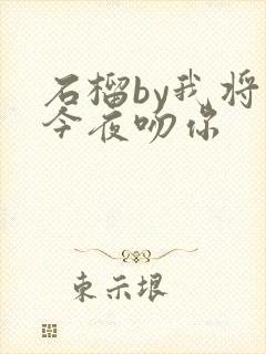石榴by我将在今夜吻你