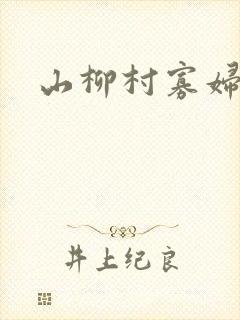 山柳村寡妇情史