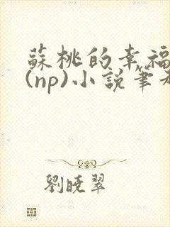 苏桃的幸福生活(np)小说笔趣阁沐沐