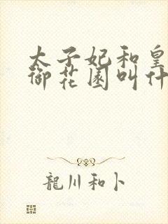 太子妃和皇帝在御花园叫什么小说