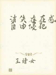 消失存在感消失自由侵犯