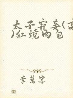 太子宠妾(高肉)红烧肉包
