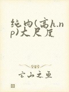 纯肉(高h.np)大尺度