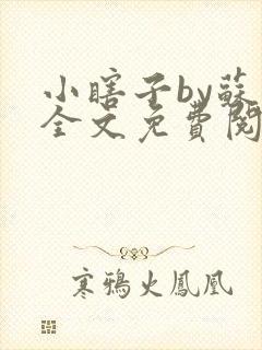 小瞎子by苏软全文免费阅读