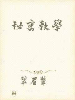 秘密教学