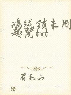鹅绒锁未删除笔趣阁txt