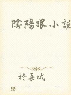 阴阳眼小说封面