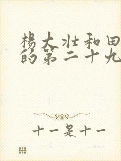 杨大壮和田桂花的第二十九