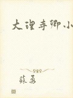 大理寺卿小说封面