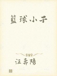 篮球小子