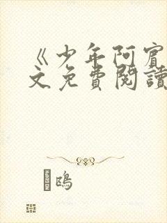 《少年阿宾》全文免费阅读