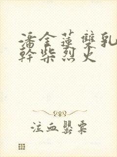 潘金莲双乳晃动干柴烈火封面