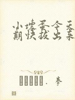 小坏蛋今天危险期快拔出来