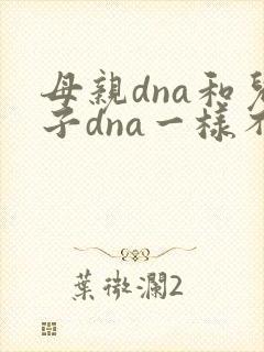 母亲dna和儿子dna一样不