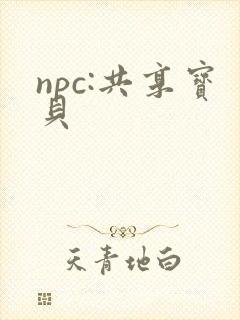 npc:共享宝贝