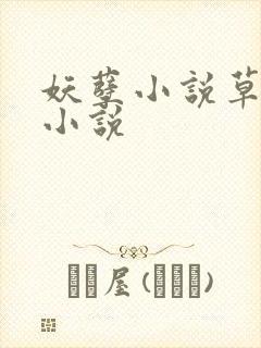 妖孽小说草莓酱小说