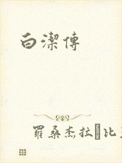 白洁传封面